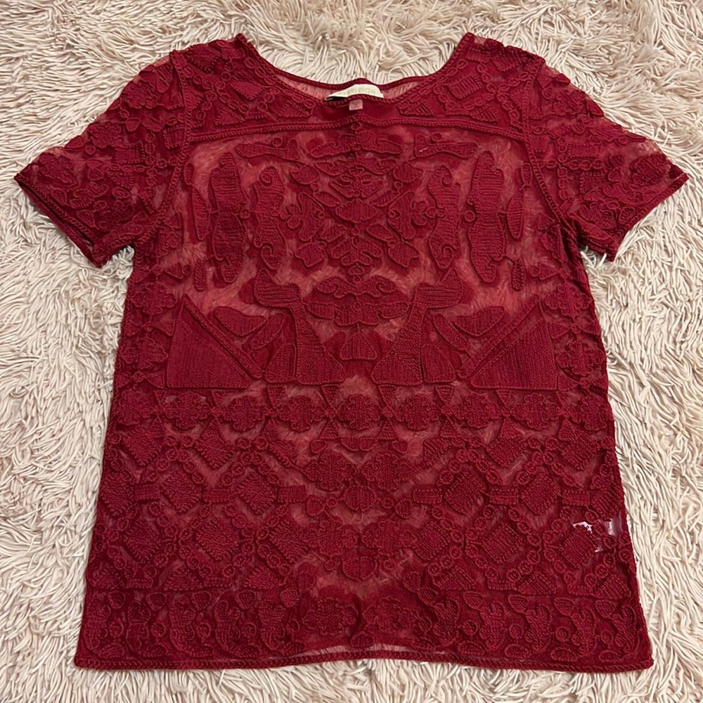 ⚡️ SALE- Everleigh Tops Everleigh Burgandy Embroidery Semi Sheer Embroidered Top